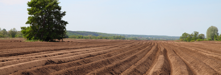 Red Acre Farms