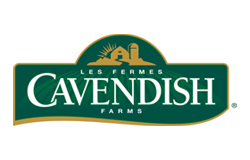 Cavendish